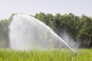 Illustration for article titled Things to Consider When Acquiring a Lawn Sprinkler Product